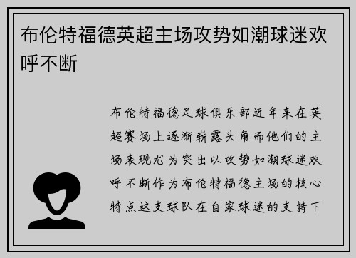 布伦特福德英超主场攻势如潮球迷欢呼不断